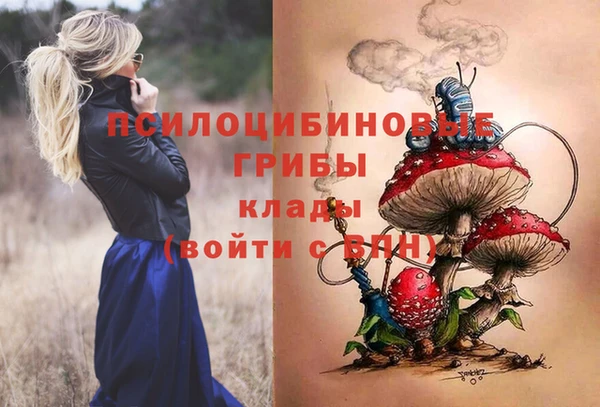 дурь Беломорск