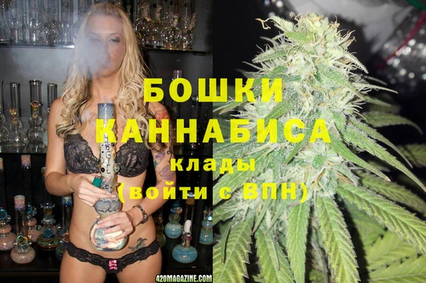 ПСИЛОЦИБИНОВЫЕ ГРИБЫ Балабаново
