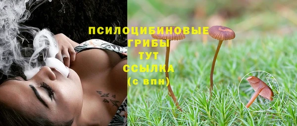 а пвп мука Белокуриха