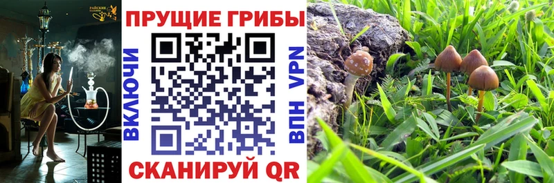 Купить закладки  Фрязино  Псилоцибиновые грибы мухоморы 