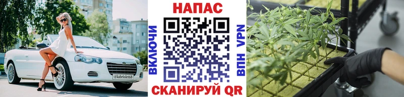 Купить закладки  Фрязино  Шишки марихуана OG Kush 